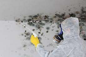 Best Forensic Mold Investigation  in Ellisburg, NJ